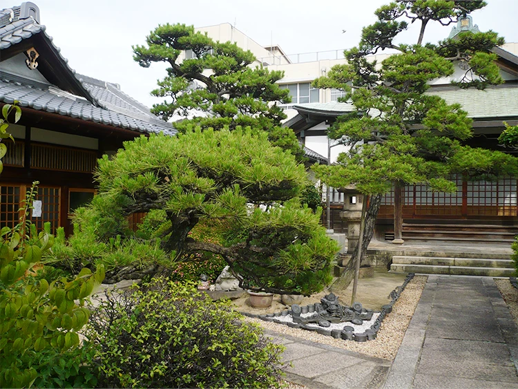 経王寺墓地08