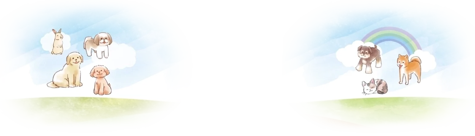bg_pet